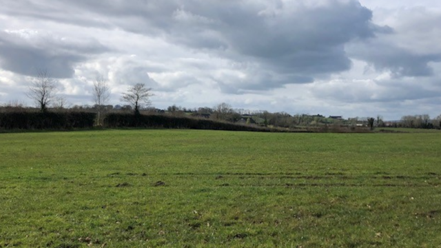Watch: Minister's update on unpaid ACRES farmers