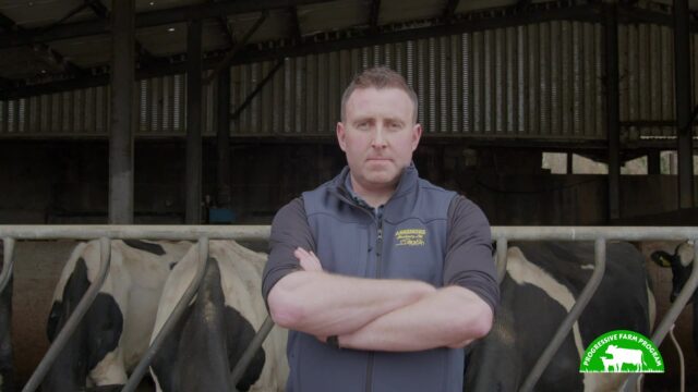 Breeding a robust cow for Meath autumn-calving herd | Progressive Farm Program