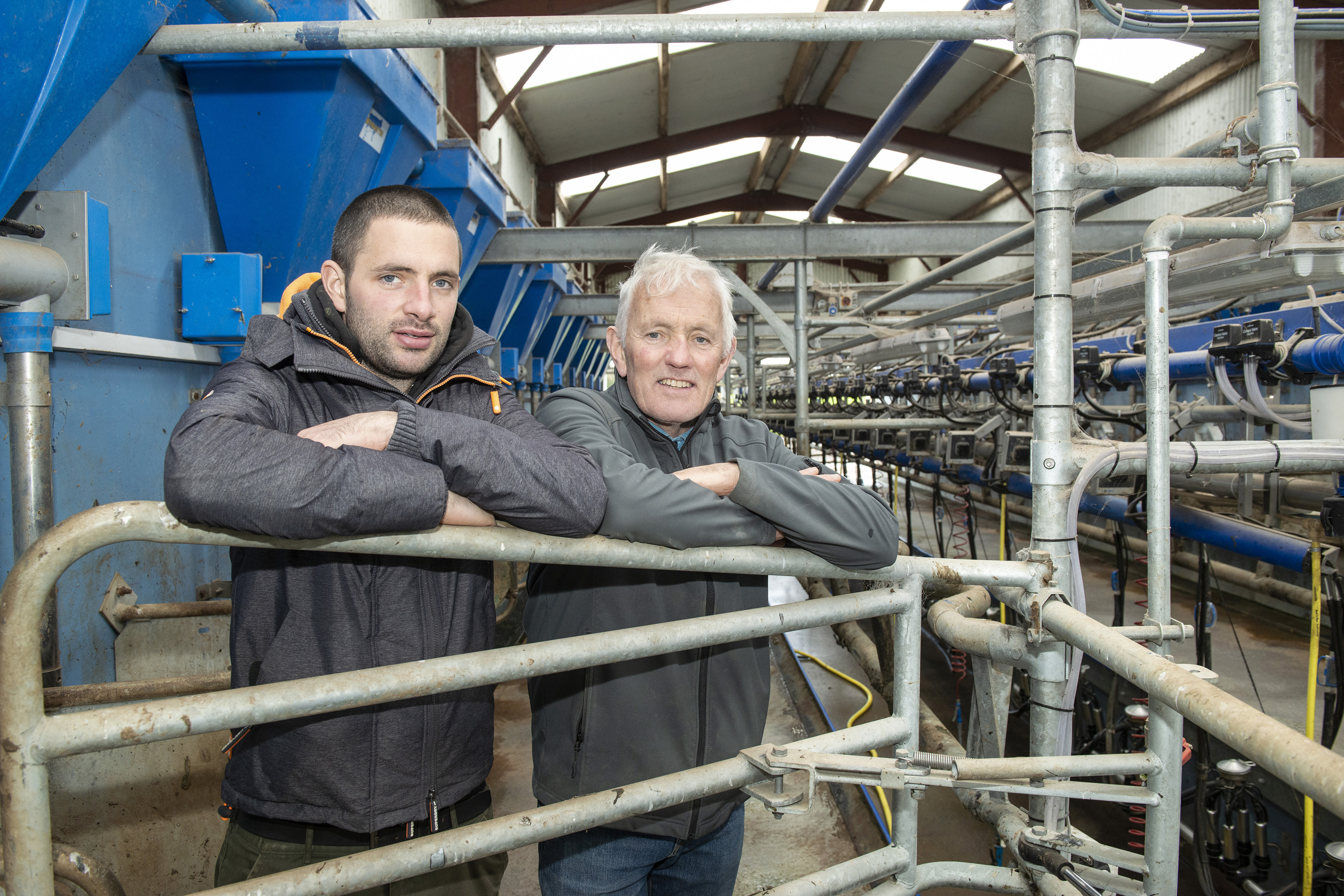 Dairy Beef Index Series: Limerick farmers plan to breed 100 cows to beef sires