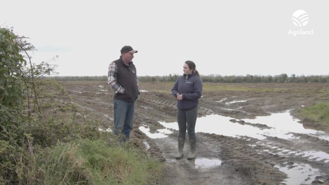 Watch: Farmer warns that stress over weather will 'break people'