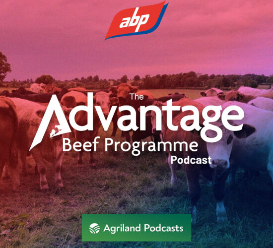 The Advantage Beef Programme podcast: Improving the sustainability of beef production