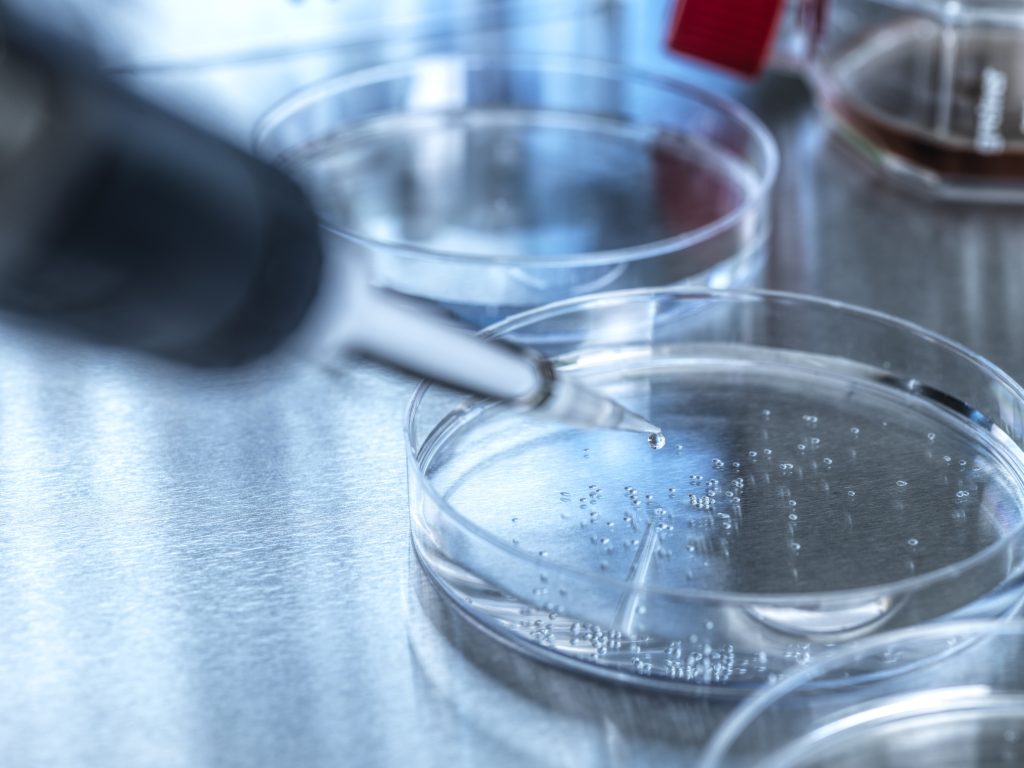 Scientist with a sample in a research laboratory