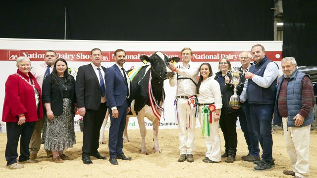 Day two of the AXA National Dairy Show 2024