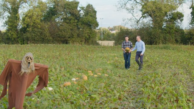 A 'family affair' at the heart of Ratoath Pumpkin Patch