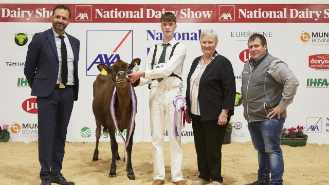 Day one of the AXA National Dairy Show 2024