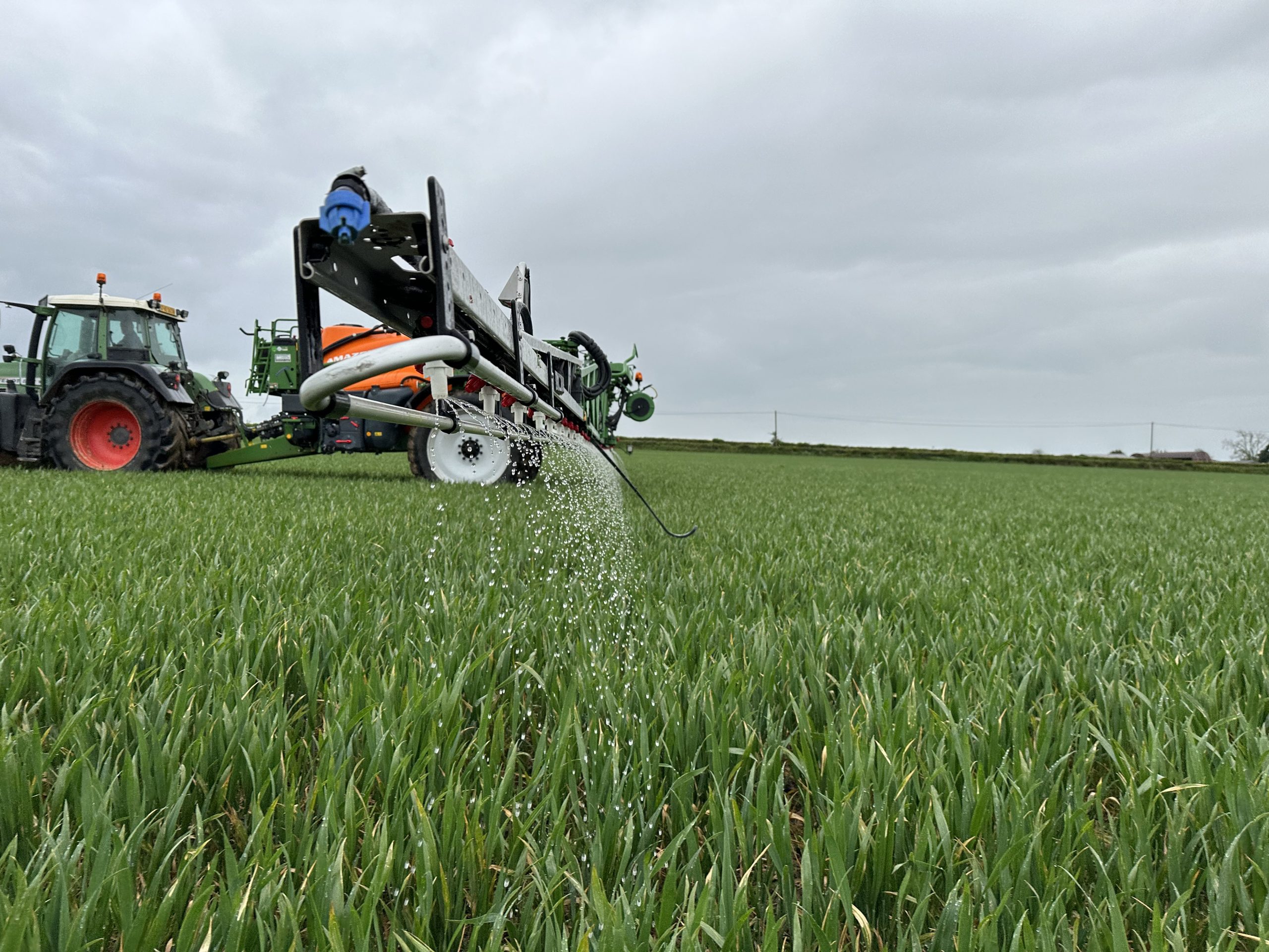 Expert guidance and tailored solutions available at FTMTA show
