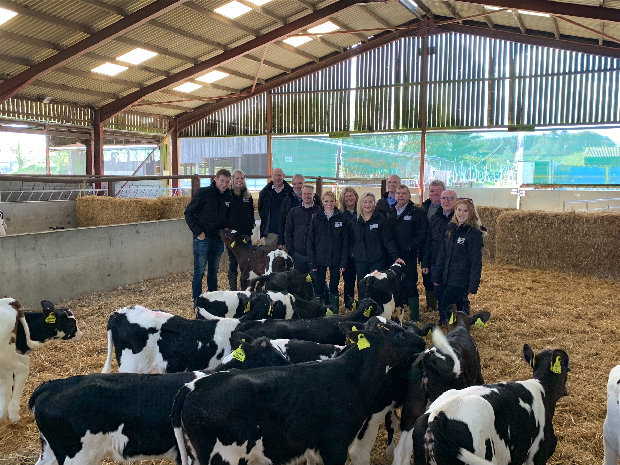 Agriland and Volac Milk Replacers Ireland Ltd to launch 'Calf Rearing Series'