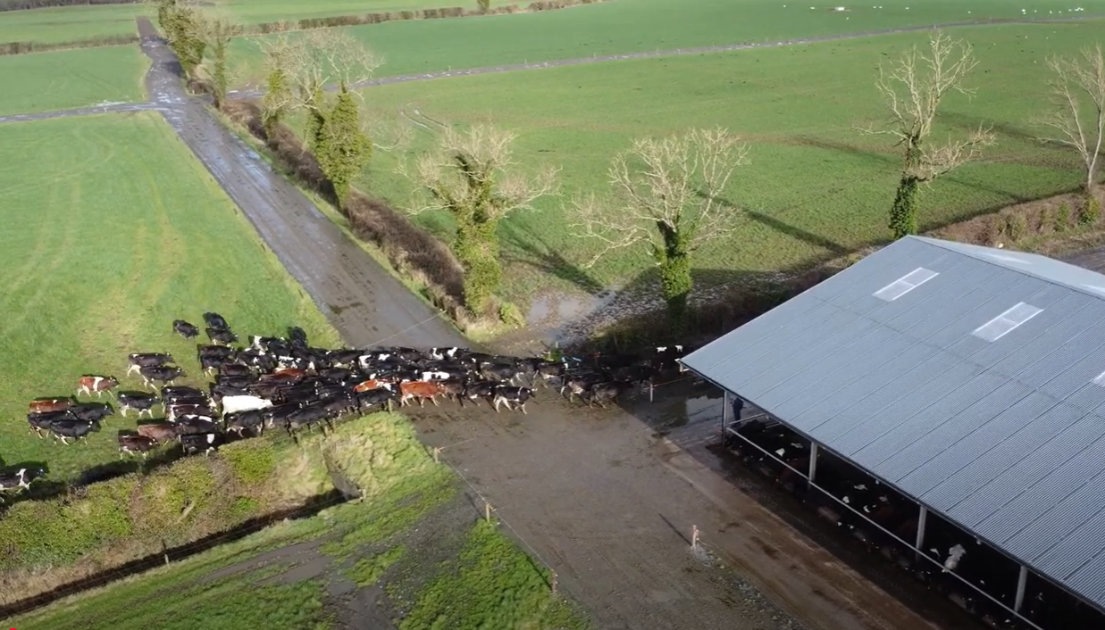 Watch now - Farming for the Future: A sustainable future