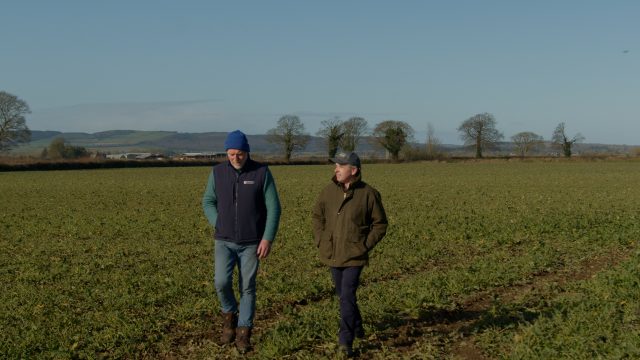 James Kelly, chair of the Irish Grain Growers Group (IGGG)
