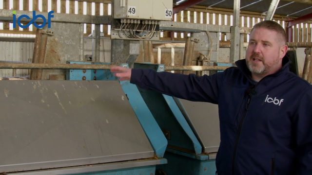 Watch: Capturing essential data for beef production