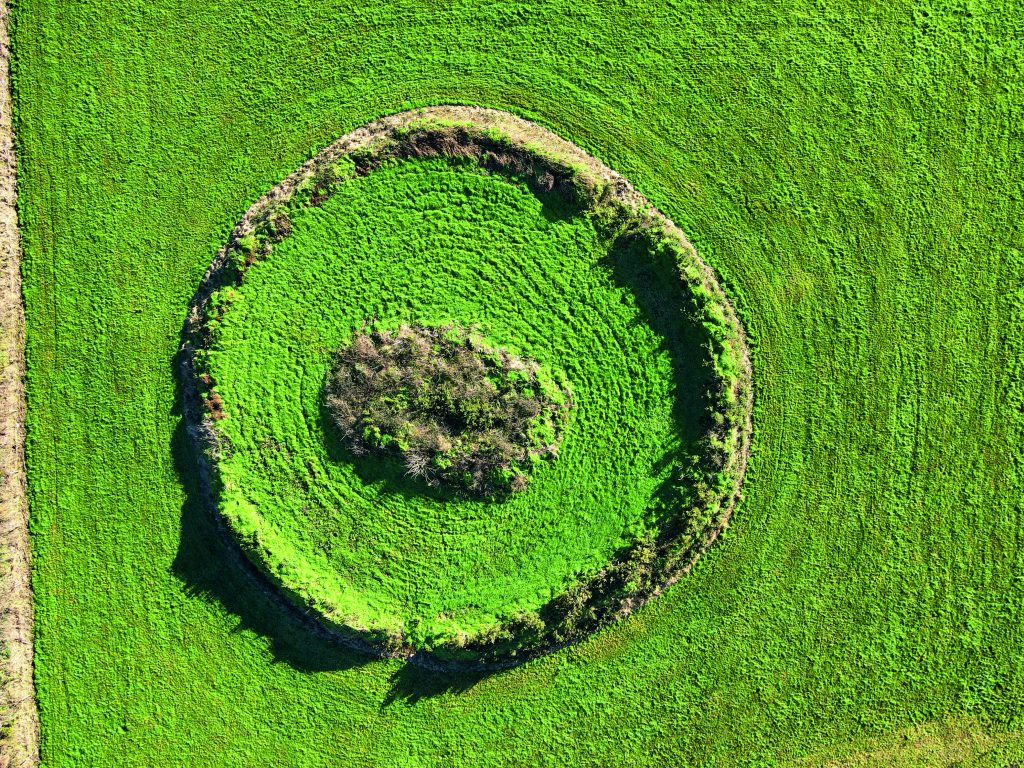 Fairy fort / earthen ringfort in Aghadreenan