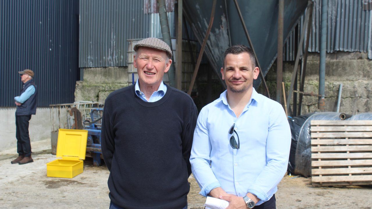 Co. Down dairy farmer credits grassland reseeding for farm performance ...