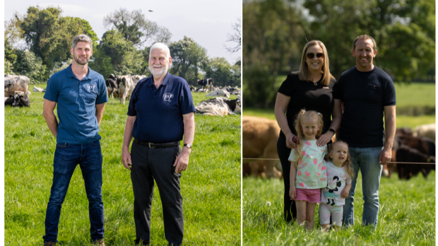 Experience Irish farming at its best