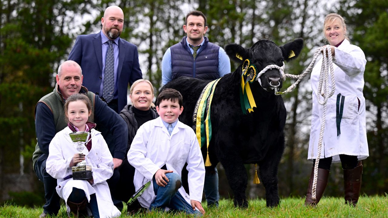 Drumhill Aberdeen Angus to host event marking 150th herd book - Agriland.ie
