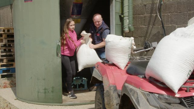 Watch: Father and daughter milking team in 'Paradise'