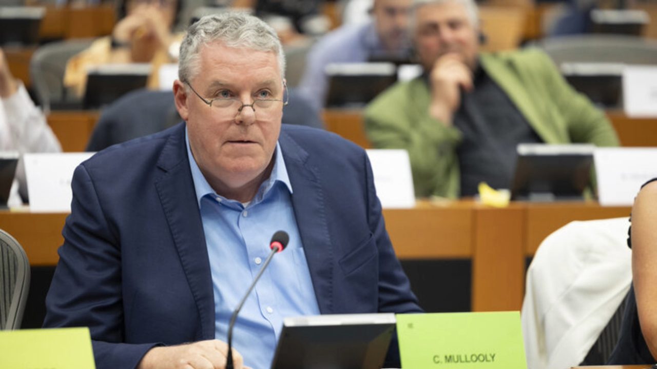 Mullooly to raise live exports with French president in MEP meeting