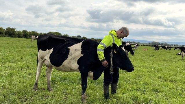The silent spread - Ireland’s TB battle