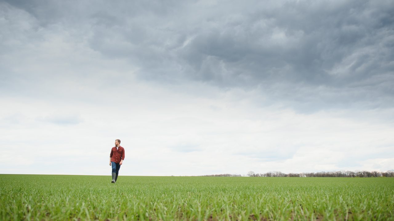 Pilot programme shows positive impact of social farming for youth