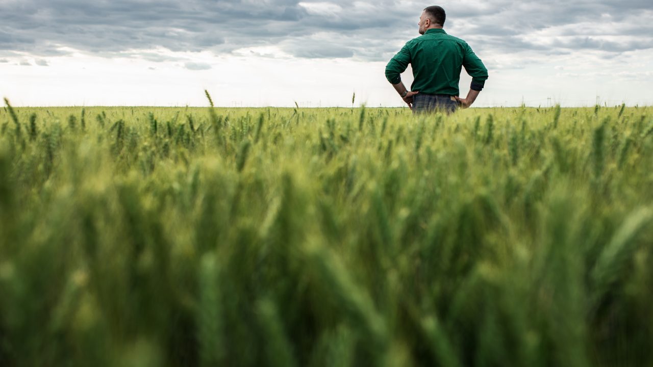 Public backs climate action but need for farmer fairness highlighted