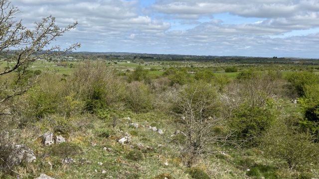Farming 'the Rocks' in south Co. Roscommon