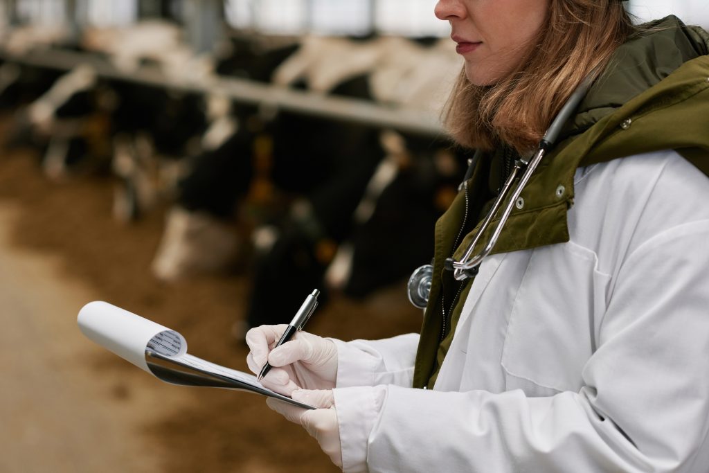 Vet taking notes on cattle