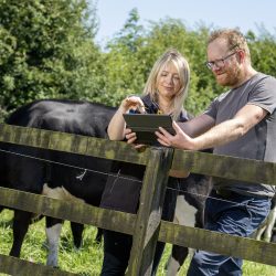 Irish farmers reduce emissions with AgNav