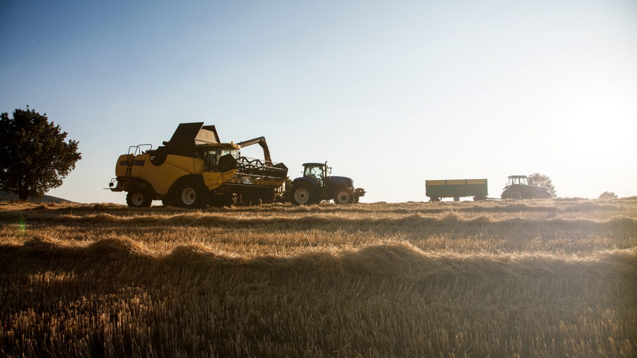 Opinion: Proposed levy on grain imports makes sense