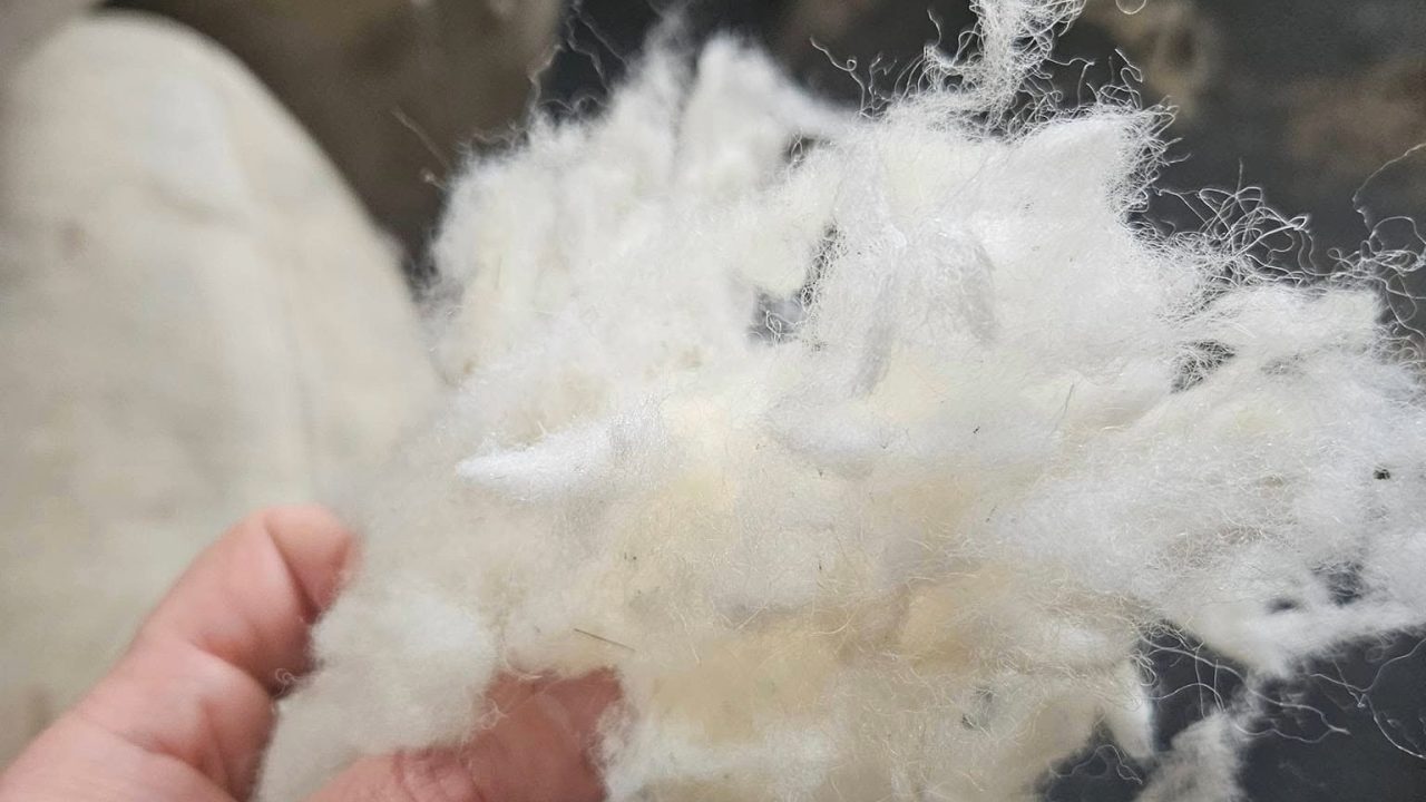 Watch: Dooley Wool on the importance of farm traceability - Agriland.ie