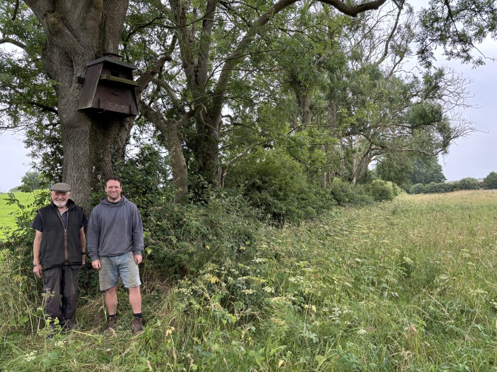 Jack and Adam Kelly beside one of the nest boxes installed by Ulster Wildlife on their Ballyalton farm. 