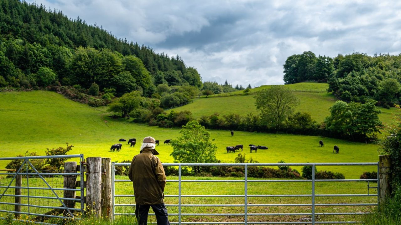 Farmers under pressure urged to seek support before problems build up
