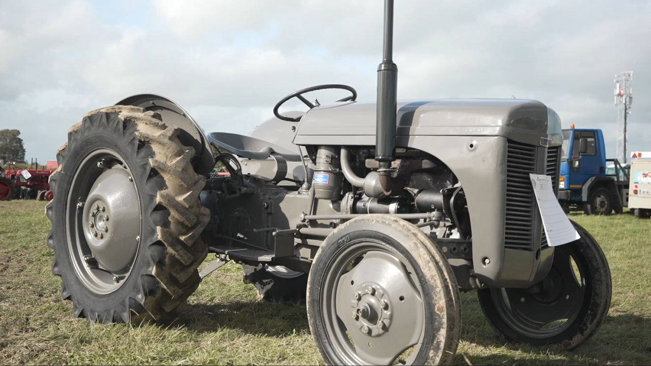 Agriland and AXA team up on series to celebrate the grey Fergie