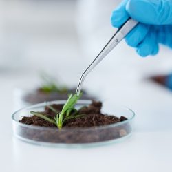 Researchers identify new potential fungicide leads