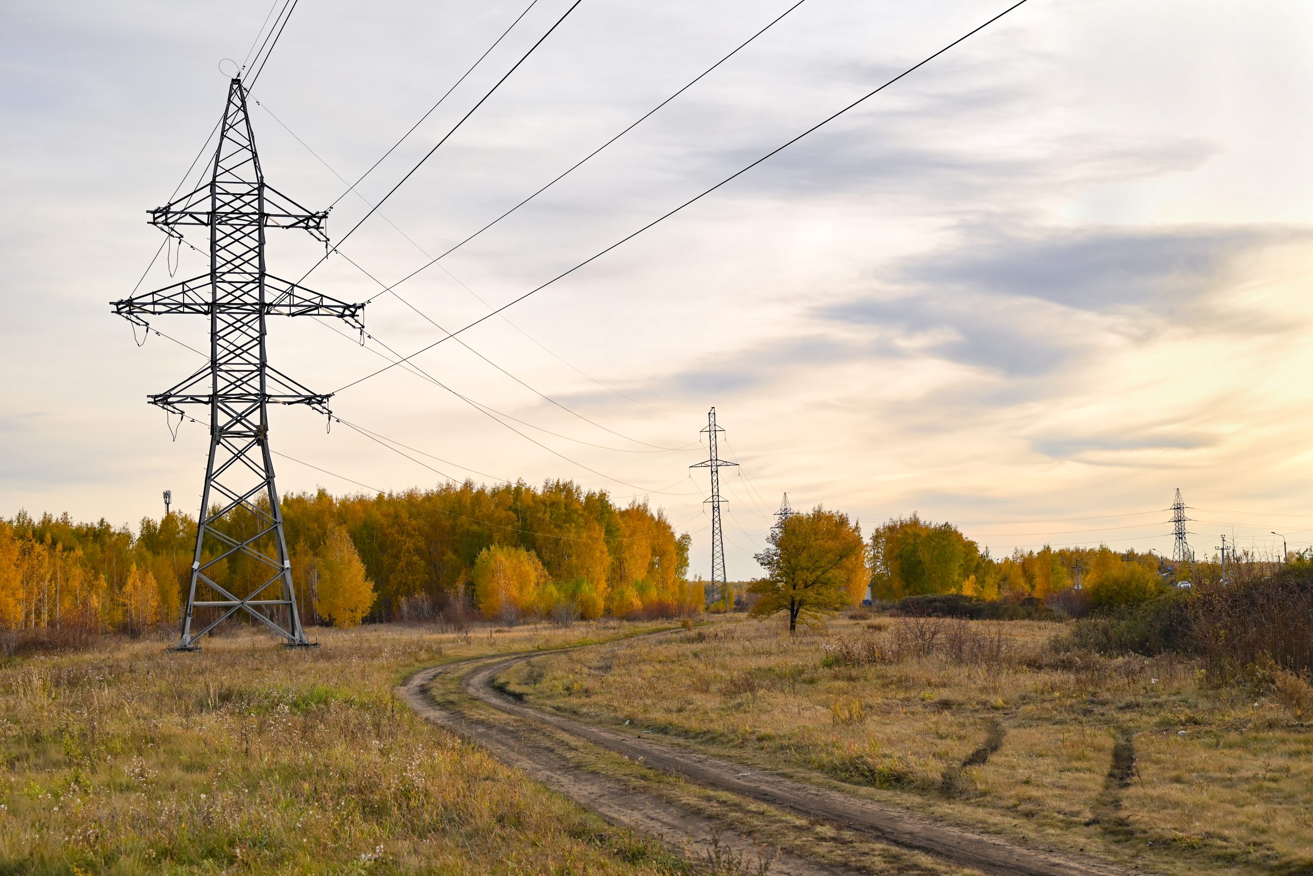 Agriland and ESB Networks to launch 'Autumn Safety Series 2025'