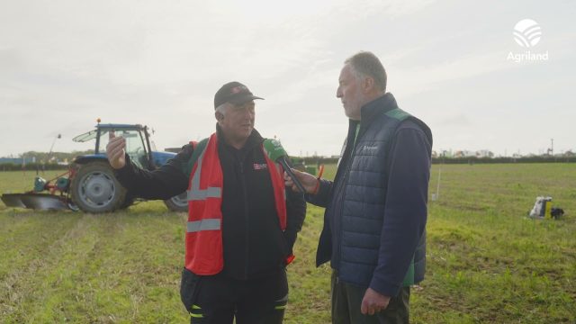 How Judging Works at #ploughing2025