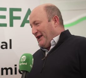 SEEFA's foresty hub at #Ploughing2025