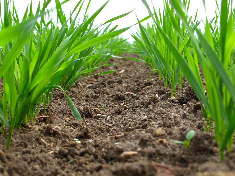 Research continues on farm soil carbon stocks in NI - Agriland.ie