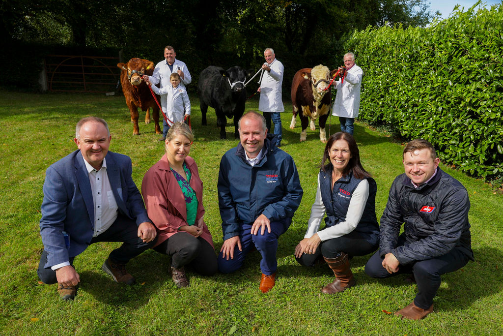 Tesco Ireland to sponsor ABP Bull Improvement Initiative