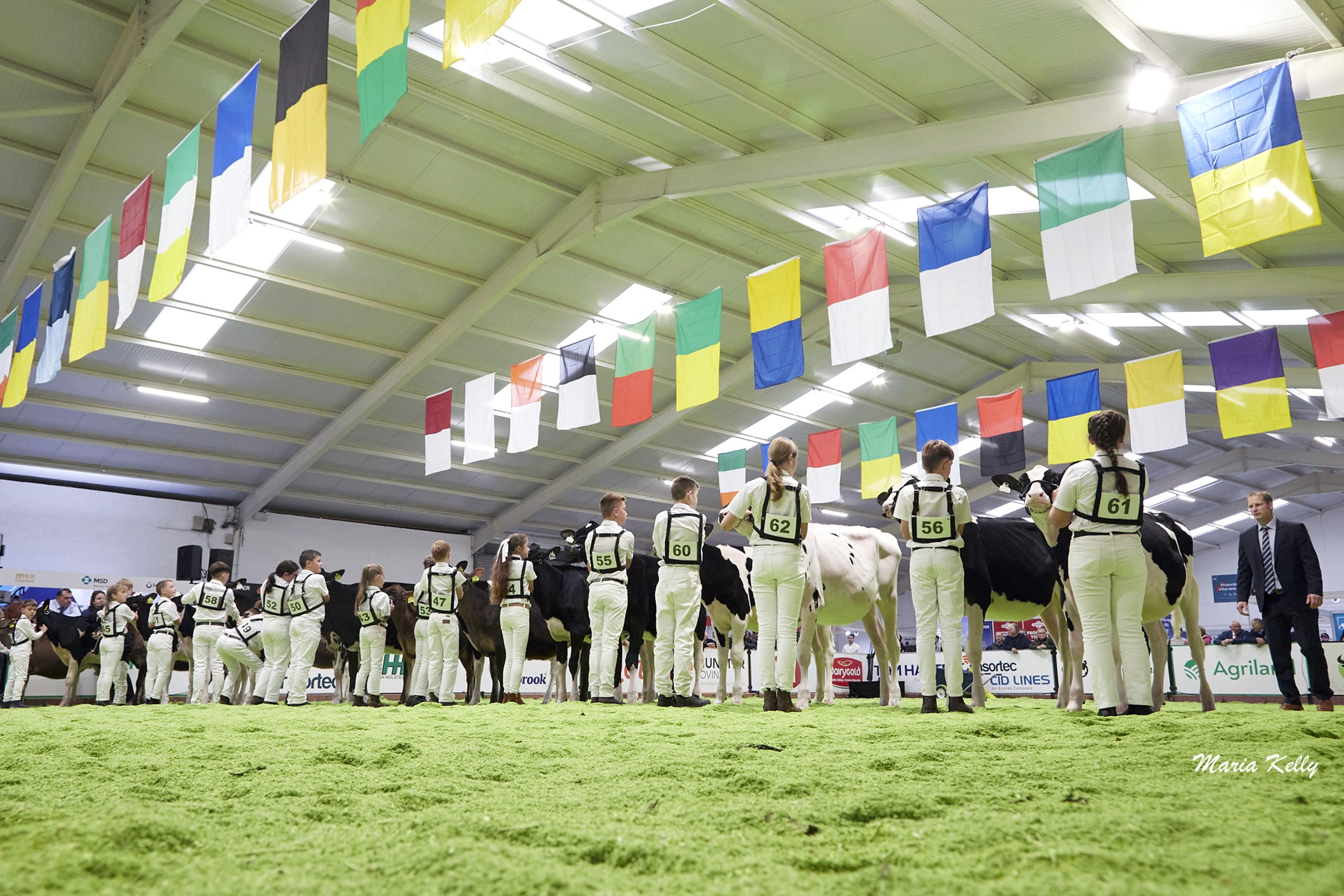 AXA National Dairy Show: Results from day one
