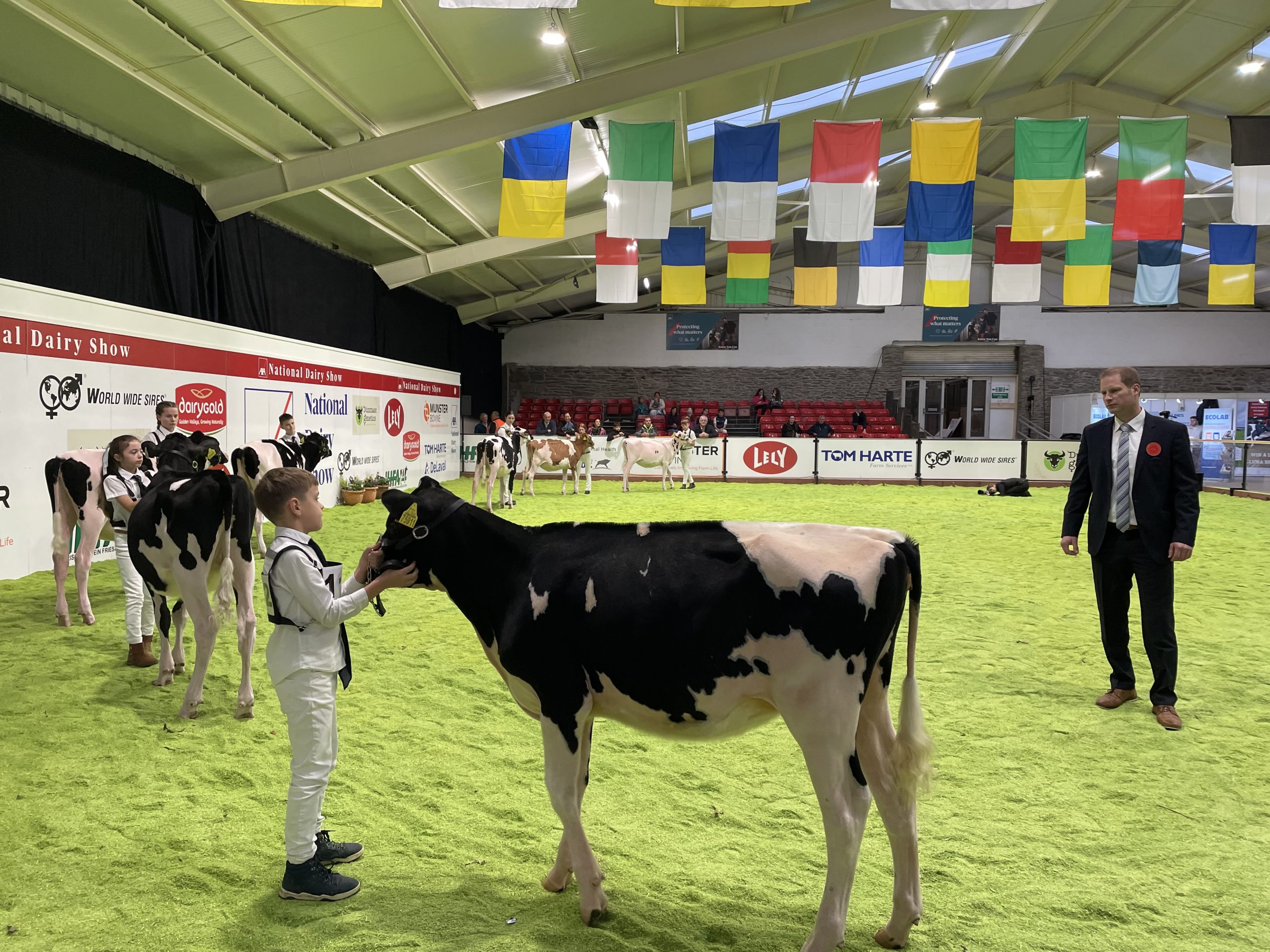 Watch: AXA National Dairy Show day two kicks off