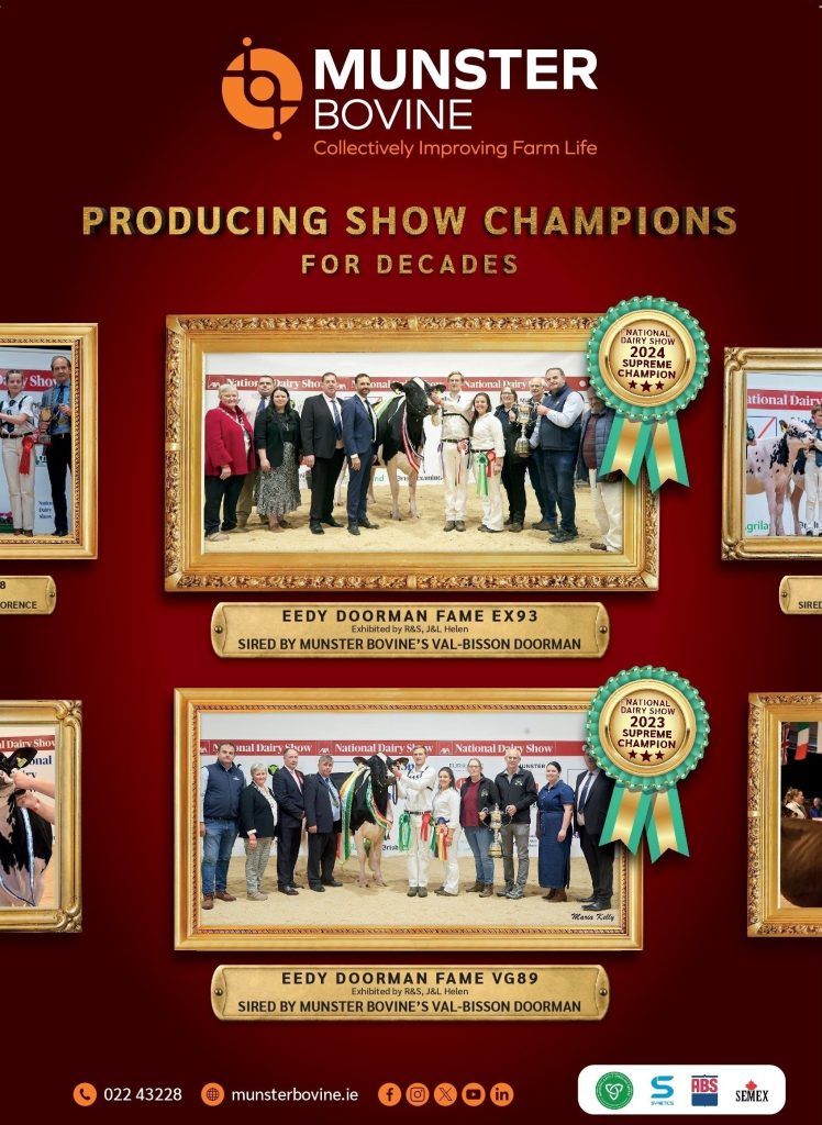 Munster Bovine National Dairy Show