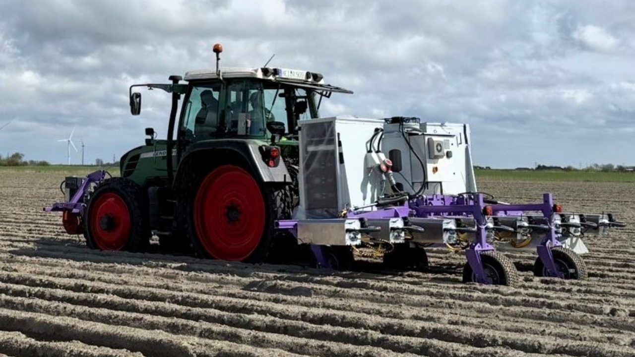 Weedbot German veg farmer helps develop laser weeding robot to reduce massive ...