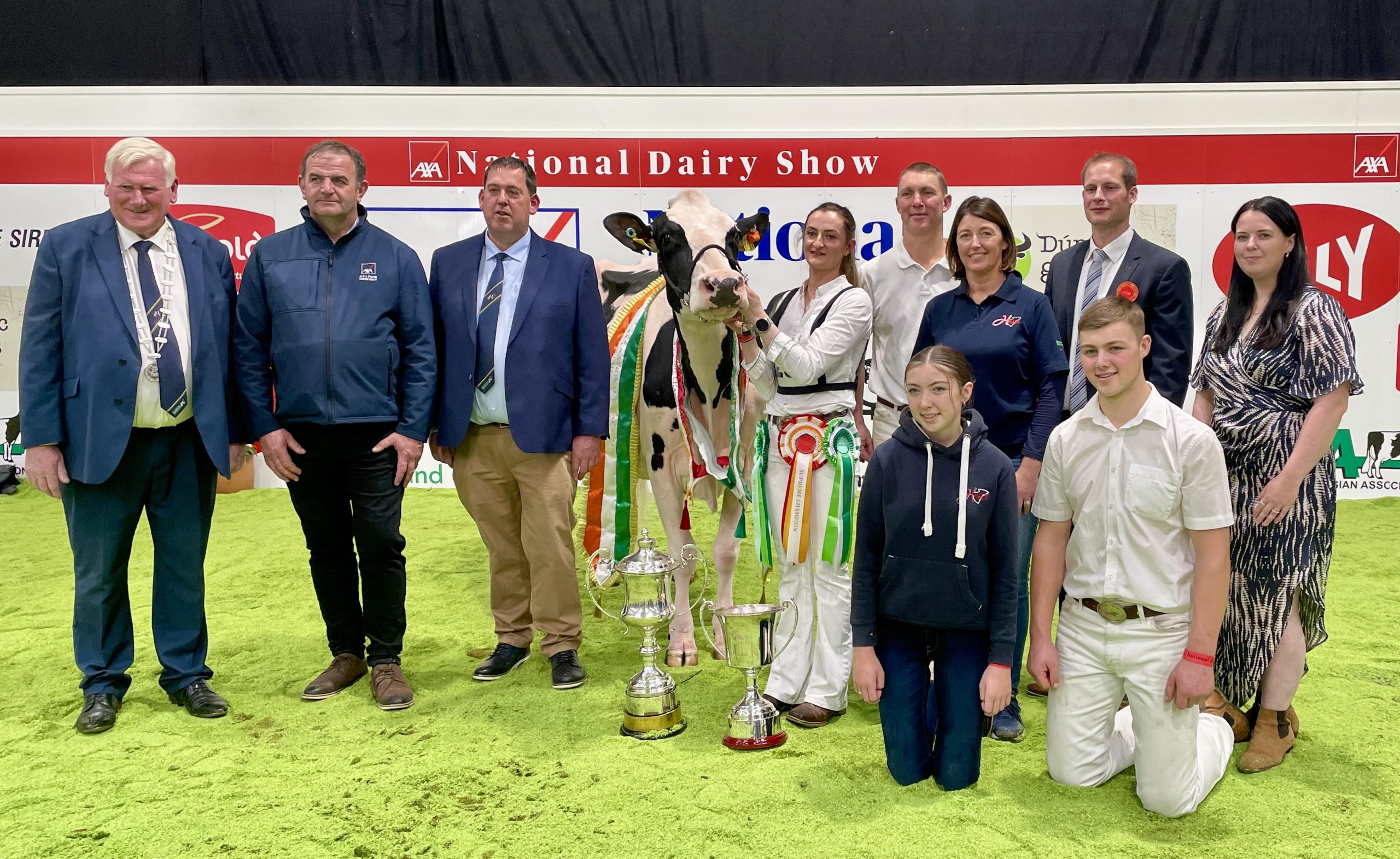 AXA National Dairy Show: Hallow Octain Twizzle is Supreme Champion