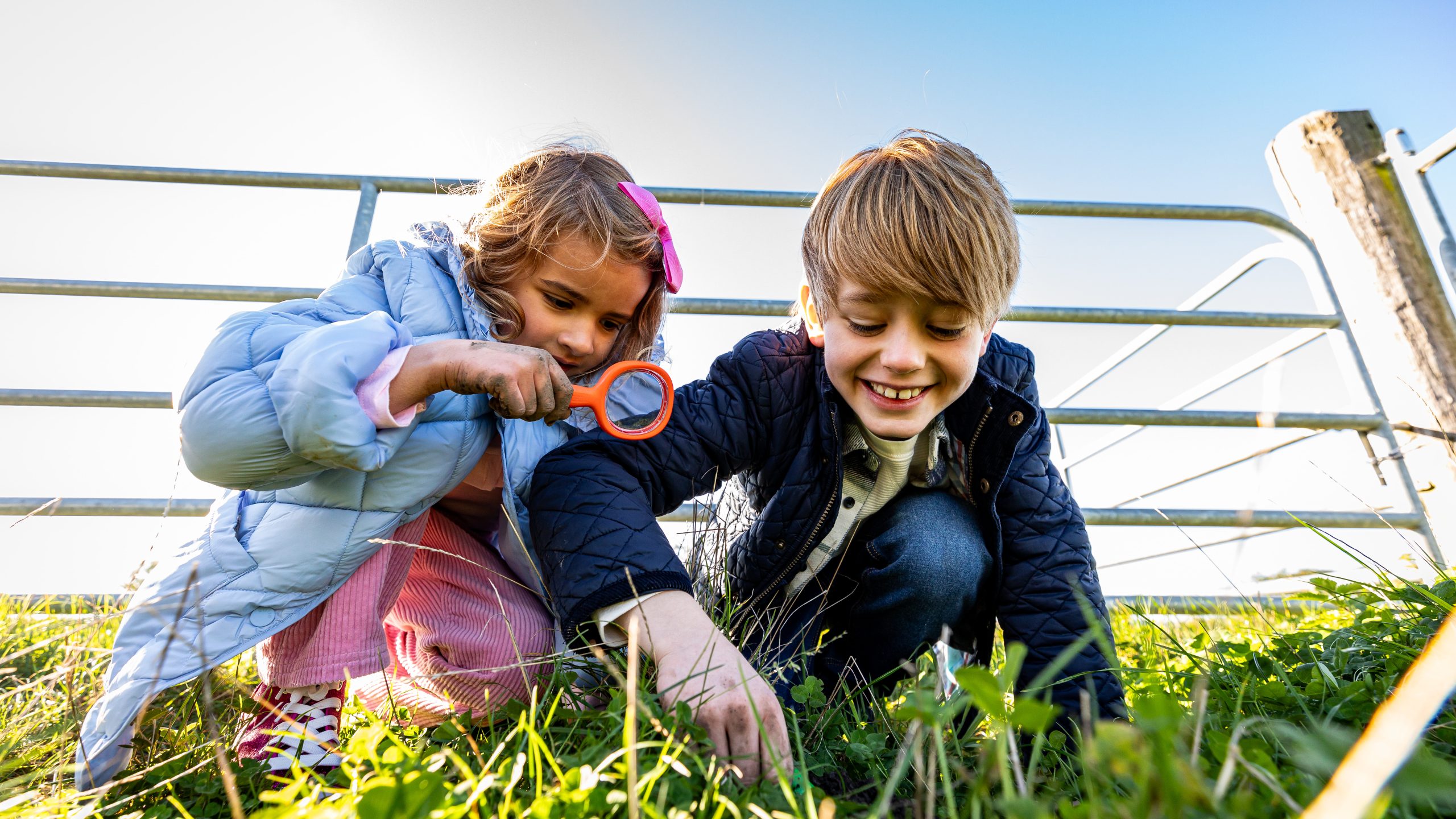 Airfield open farm continuing legacy of community nurturing