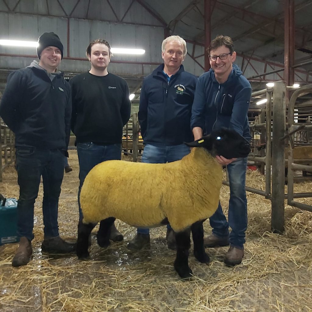 op priced shearling ewe with sellers Tom, Mikey and Michael Hastings and purchaser Eamonn Duffy.