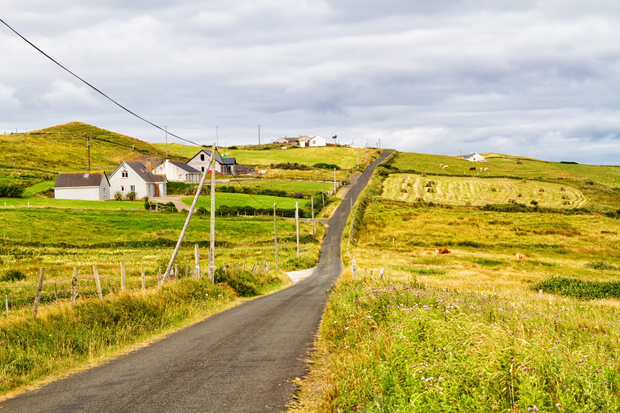 Minister says rural one-off housing 'can't be a free-for-all'