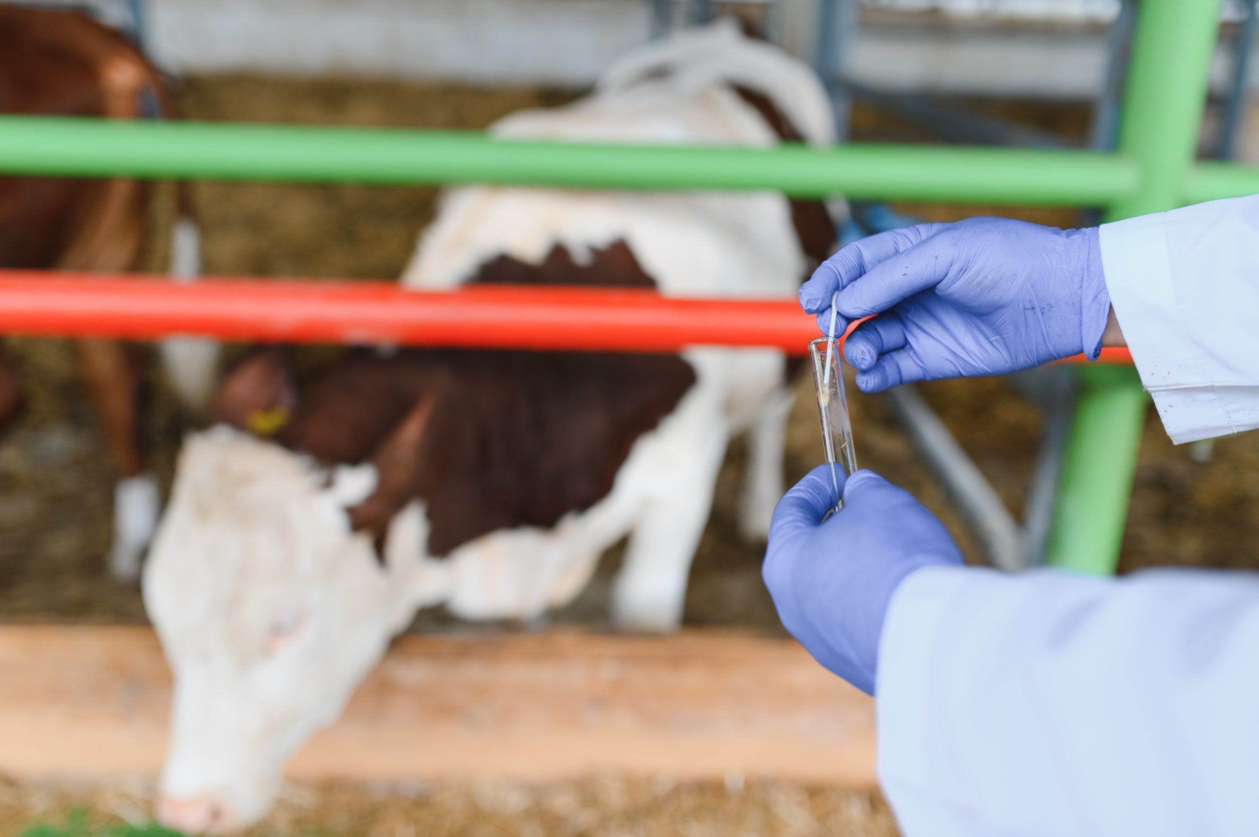 Boehringer Ingelheim MD elected president of global animal health association