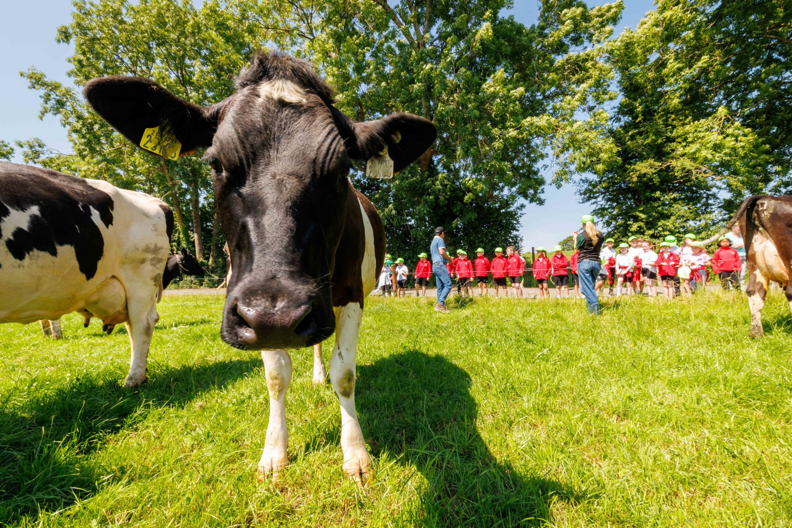 NDC Farmer Ambassador Series: ‘We take for granted that the public knows about farming’