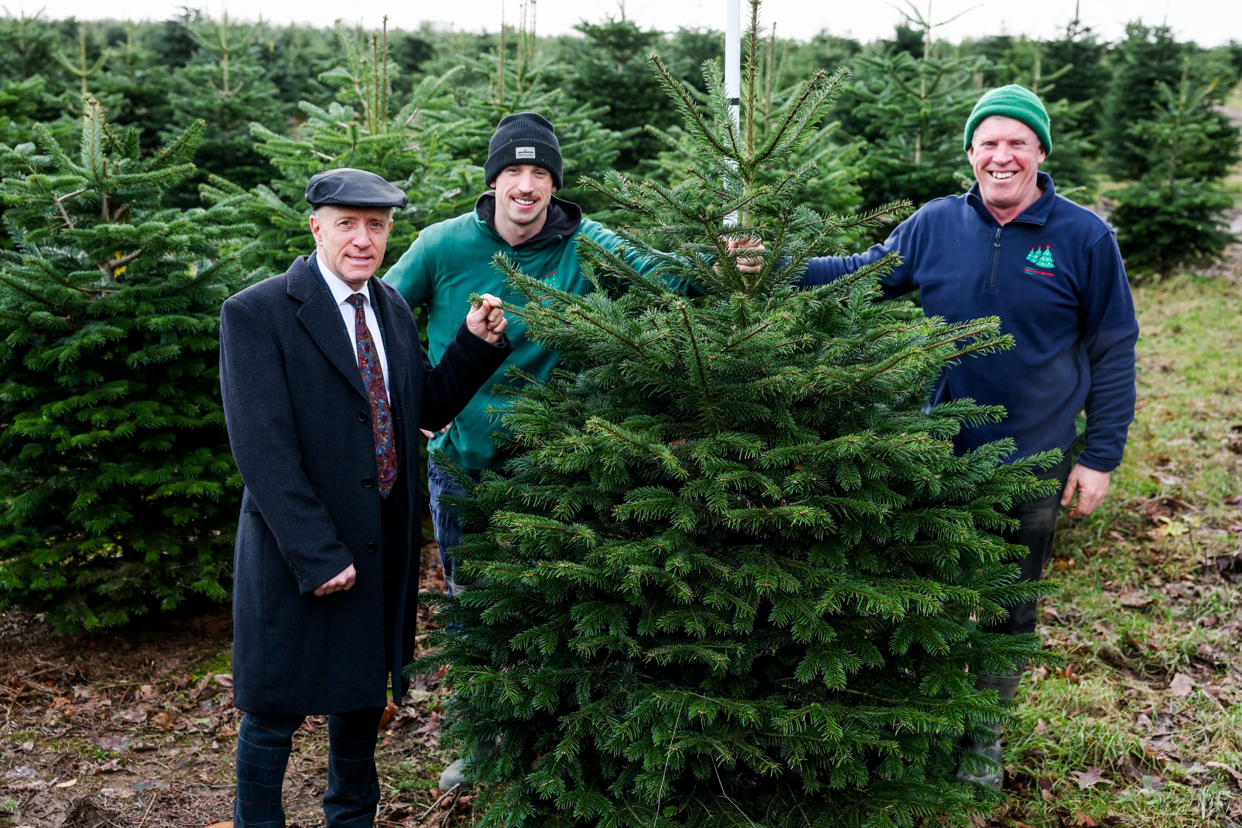 Healy-Rae encourages support for Irish Christmas tree sector