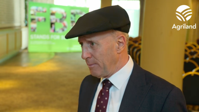 Forestry windblow reconstitution scheme to be announced soon