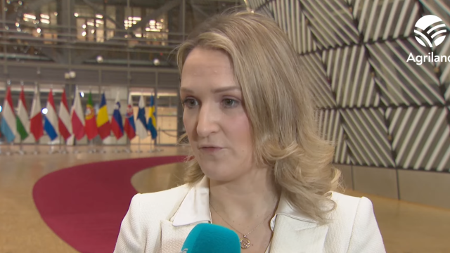 Minister for Trade Helen McEntee on Mercosur deal in Brussels
